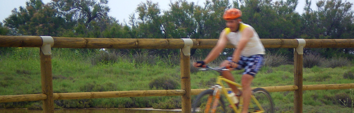 Cyclist fence
