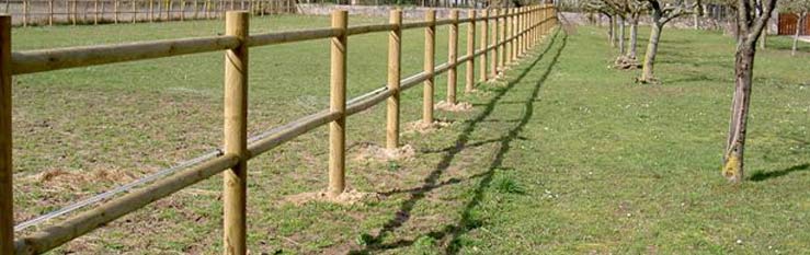 Horizontal fences