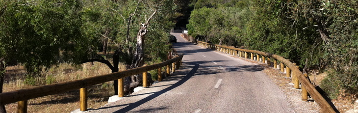 Wood/steel Guardrails